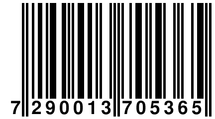 7 290013 705365