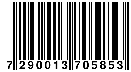 7 290013 705853