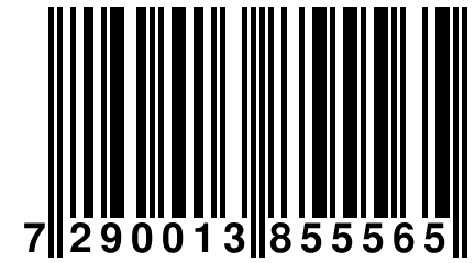 7 290013 855565