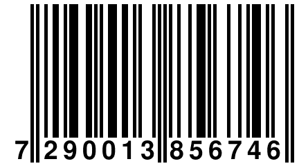 7 290013 856746