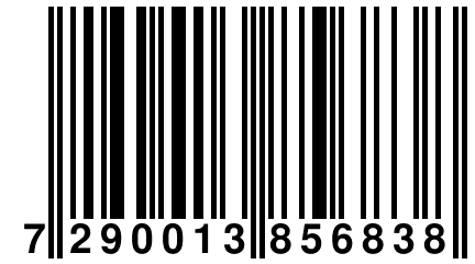 7 290013 856838