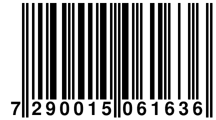7 290015 061636