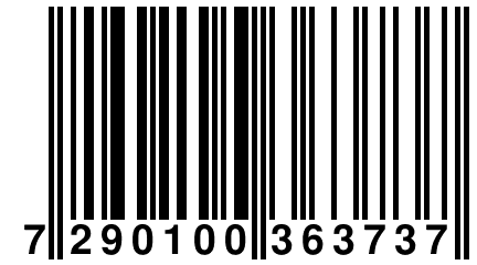 7 290100 363737