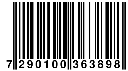 7 290100 363898