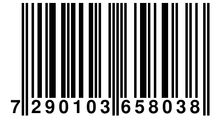 7 290103 658038