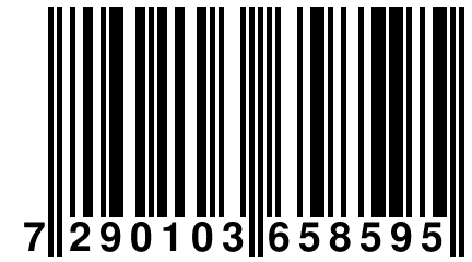 7 290103 658595