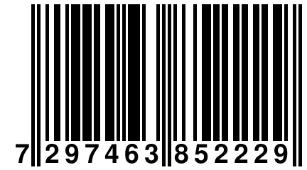 7 297463 852229
