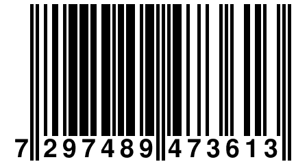 7 297489 473613