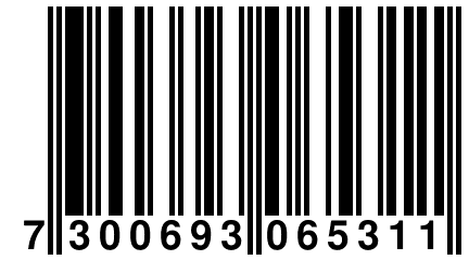 7 300693 065311