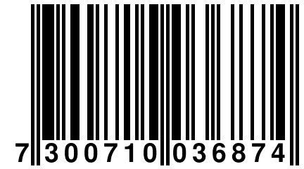 7 300710 036874