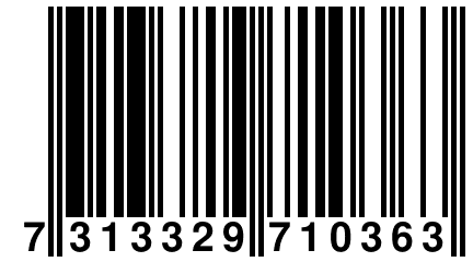 7 313329 710363