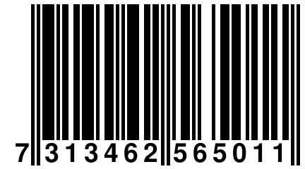 7 313462 565011
