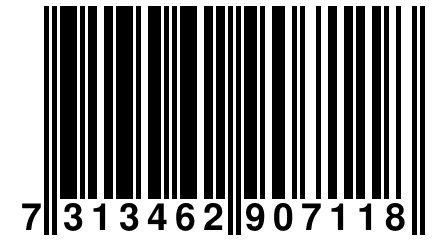 7 313462 907118