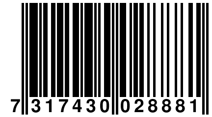 7 317430 028881