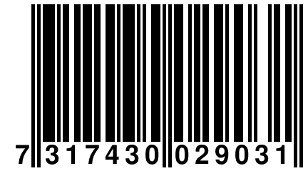 7 317430 029031