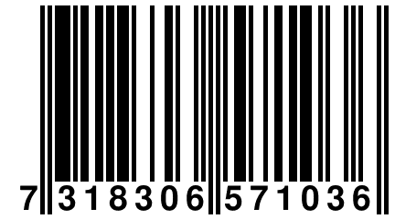 7 318306 571036