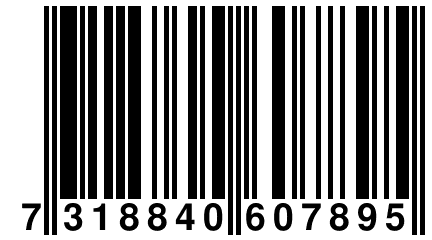 7 318840 607895