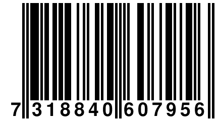 7 318840 607956
