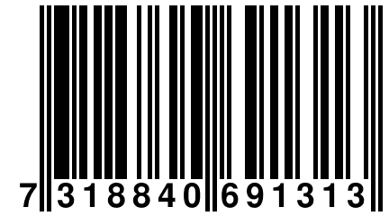 7 318840 691313