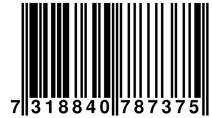 7 318840 787375