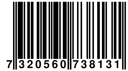 7 320560 738131