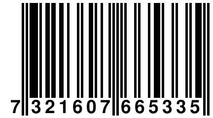 7 321607 665335