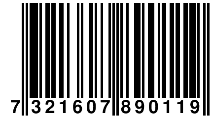 7 321607 890119