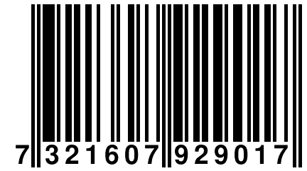 7 321607 929017