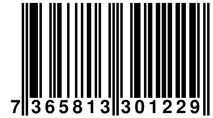 7 365813 301229