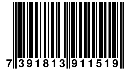 7 391813 911519