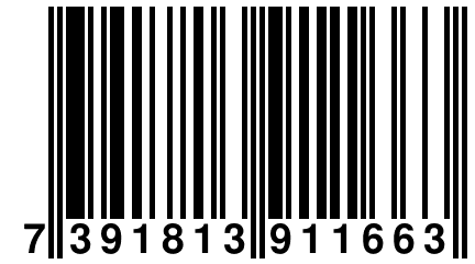 7 391813 911663