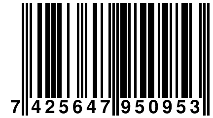 7 425647 950953