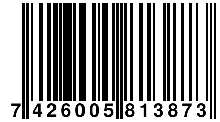 7 426005 813873