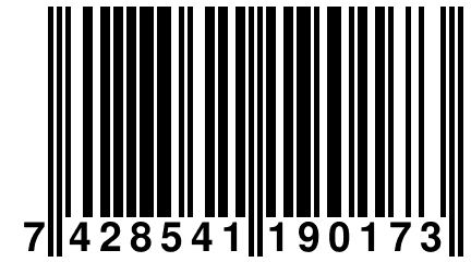 7 428541 190173