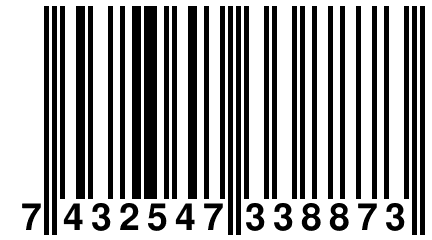 7 432547 338873