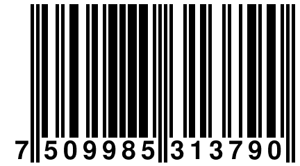 7 509985 313790