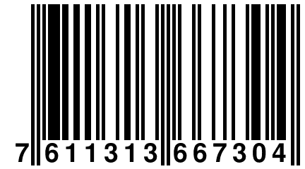 7 611313 667304