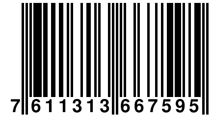 7 611313 667595
