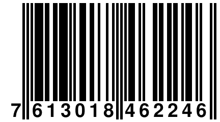 7 613018 462246