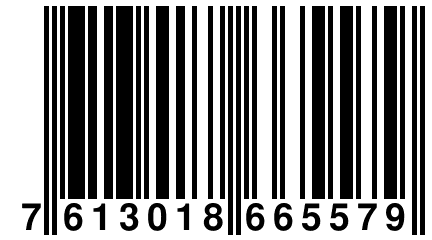 7 613018 665579