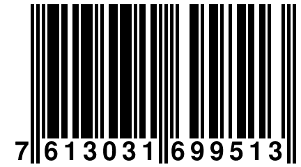 7 613031 699513