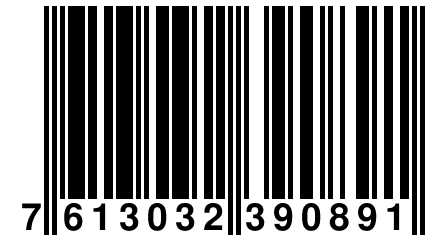 7 613032 390891