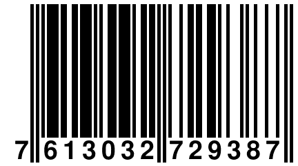 7 613032 729387