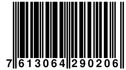 7 613064 290206