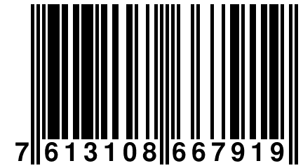7 613108 667919