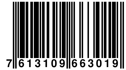 7 613109 663019