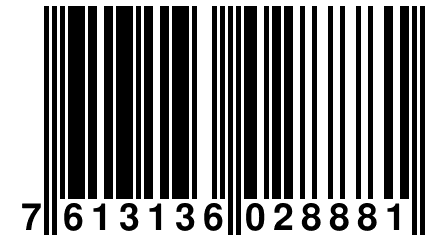 7 613136 028881