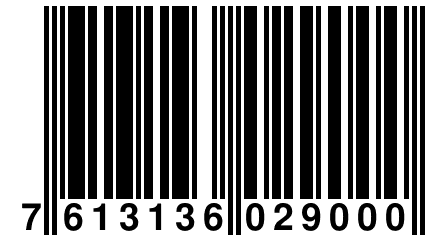 7 613136 029000