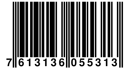 7 613136 055313