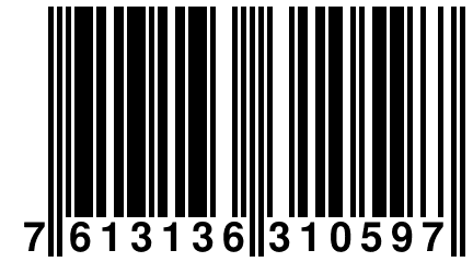 7 613136 310597